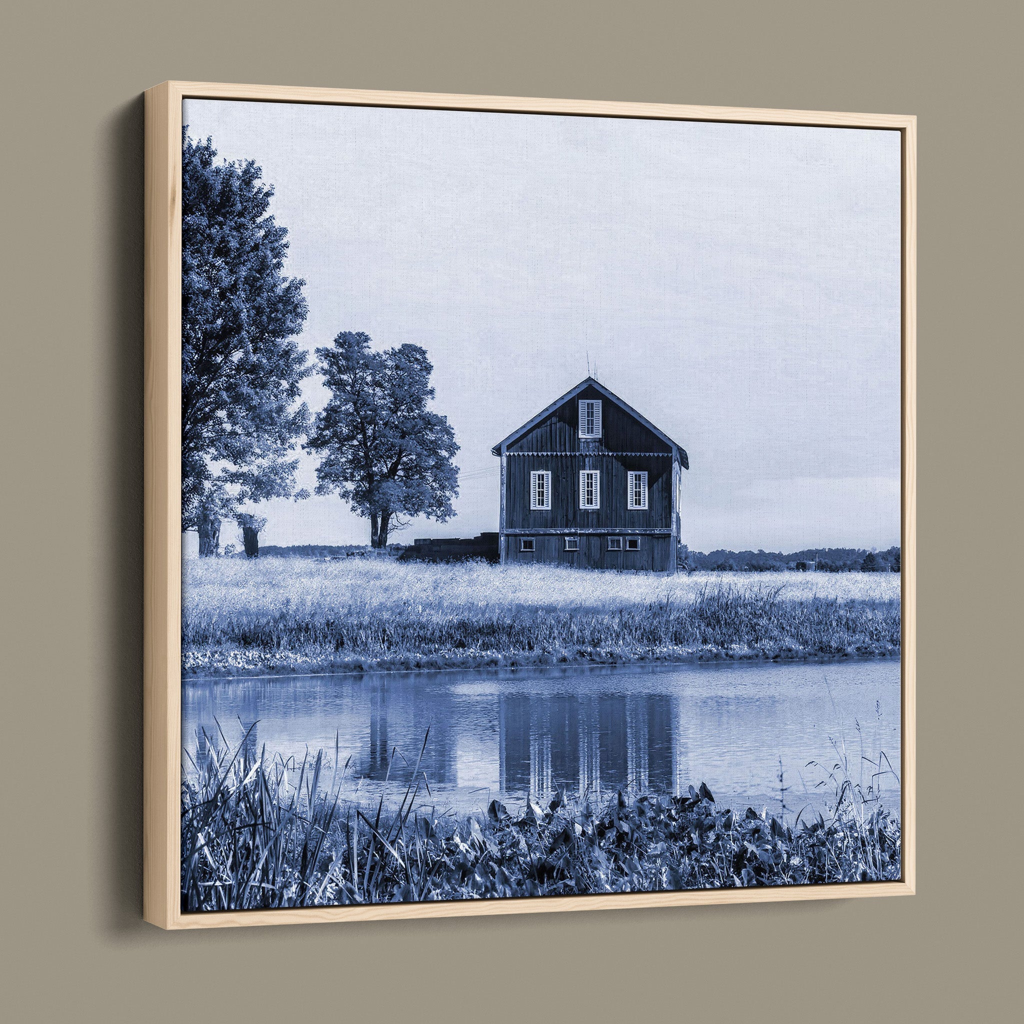 Barn Beside Tree - Beach City OH United States - in Blue