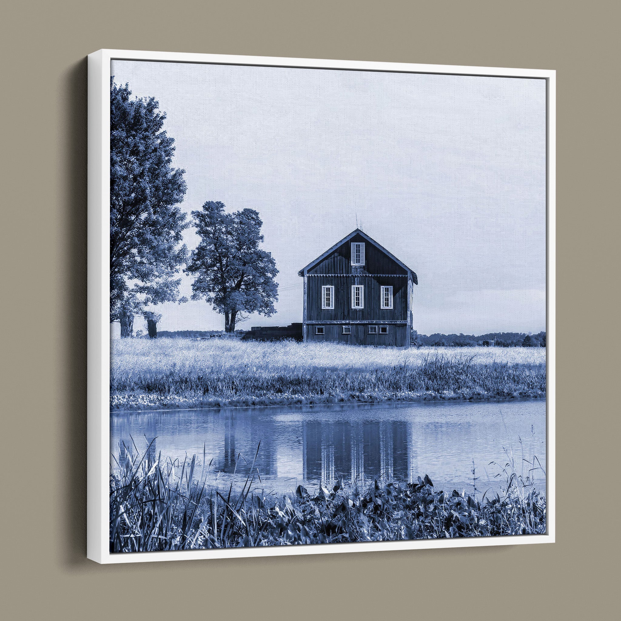 Barn Beside Tree - Beach City OH United States - in Blue