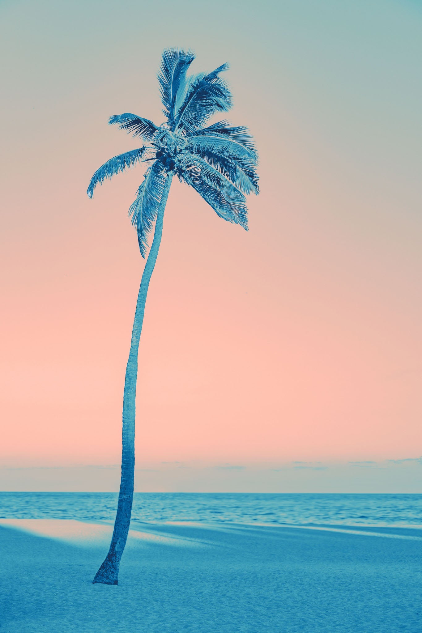 Tropical artwork showcasing a silhouette of a palm tree against a serene sunset beach scene in pastel pink and azure, creating a tranquil and inviting atmosphere.