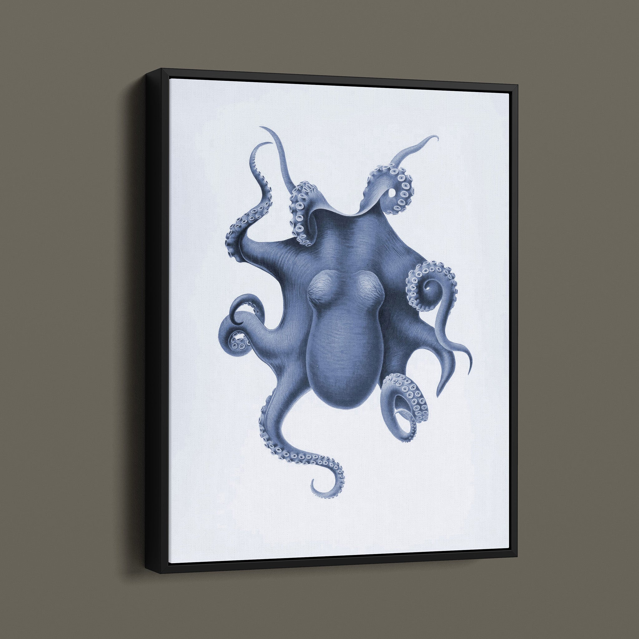 Vintage Octopus Illustration