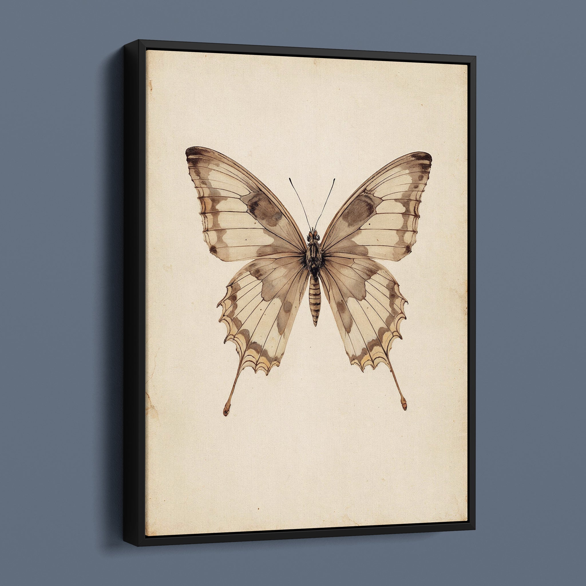 Antique Swallowtail