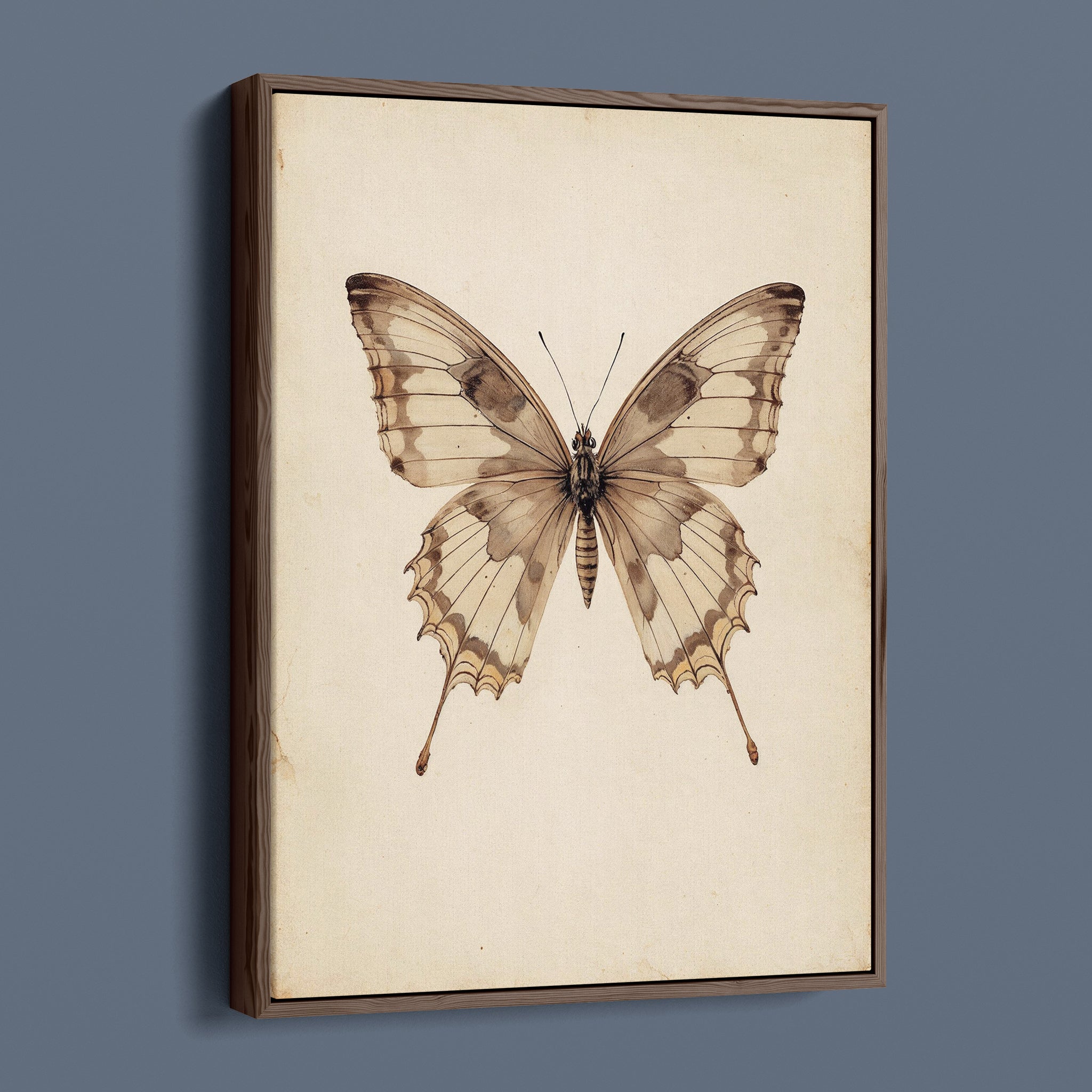 Antique Swallowtail