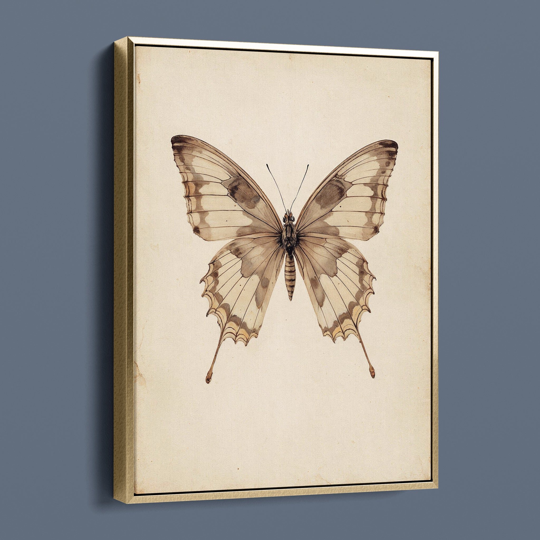 Antique Swallowtail
