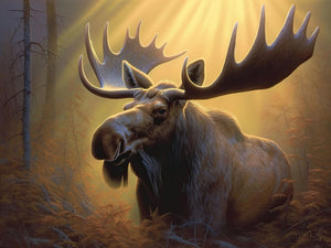 Bull moose with antlers bathed in warm backlight at sunrise, captured in a classic Western wildlife painting titled "Sunrise Reveal."