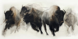 Mixed-media art print of four American bison moving left to right across a white ground, rendered in expressive charcoal linework, ink wash, and warm brown washes by artist Jay Bryant Ward.